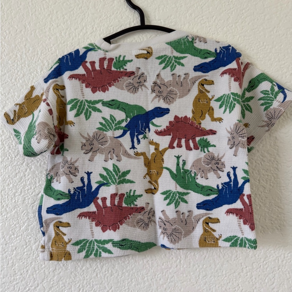 Matching Dinosaur Set - Picture 8 of 11